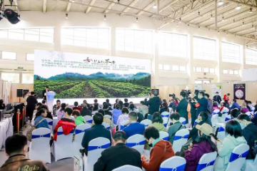 2023广西苍梧六堡茶北京推介会成功举办