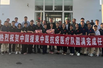 中国首批援柬中医医疗队载誉而归 柬各界人士代表前往机场送行