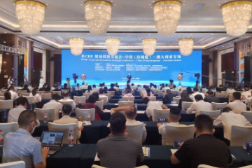 RCEP贸易投资交流会—中国（防城港）·澳大利亚专场活动成功举办 现场签约项目金额超百亿