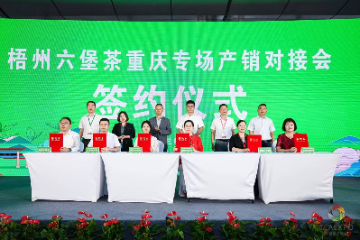 六堡佳茗亮相重庆茶博会，唱响“梧州六堡茶”品牌