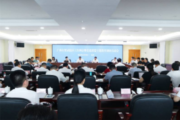 广西自贸试验区：党建引领风帆劲，赋能添力促发展