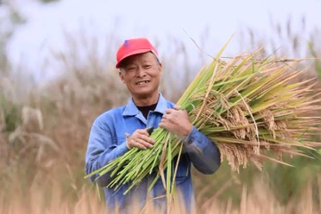 世界遗产@中国丨良渚先民向你投递了一份五千年前的食谱