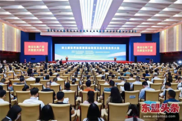 风劲起八桂 聚首共扬帆——第三届世界桂商暨商会经贸文化交流合作大会综述