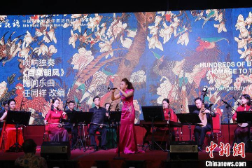 “丝路花语”中国民族音乐在印尼举办专场演出