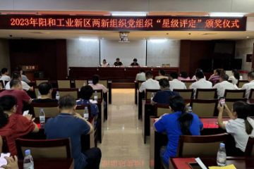 表彰！“星级党组织”再添新“星”，广西柳州市阳和工业新区这些单位入列