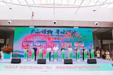 广西河池好货“乘车”走向全国