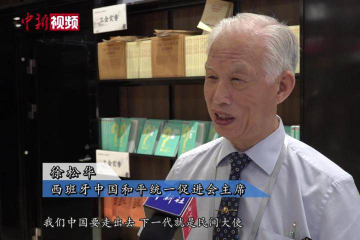 中国海内外侨胞谈华裔新生代发展：融入主流 不忘根本