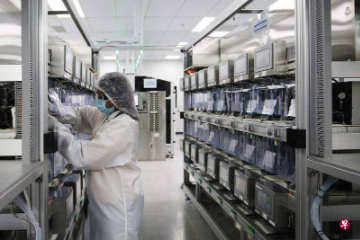 数东盟制造业8月份持续扩张