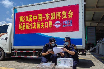 第20届中国—东盟博览会越南展品经广西友谊关口岸入境