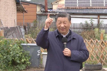 Xi stresses striving for full revitalization of northeast China