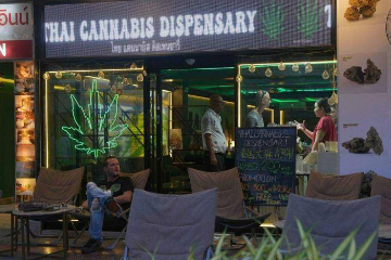 泰国政府重新审议大麻管制法案