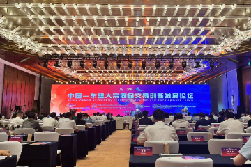 构建中国—东盟大宗商品新通道 促进国内国际双循环新发展