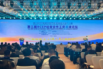 第三届RCEP在南宁举行 发起成立RCEP区域产业链供应链合作联盟