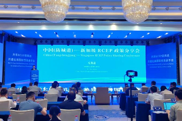中国（防城港）——新加坡RCEP政策分享会在广西防城港市举办