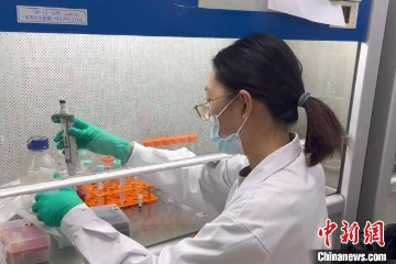 广西科学家从红树林一株链霉菌新种中分离出抗癌物质