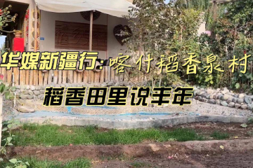 华媒新疆行：喀什新农村 稻花香里说丰年