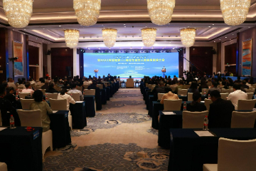 “侨连五洲·桂聚东博”暨2023五洲筑梦——海外华侨华人防城港联谊大会成功举办