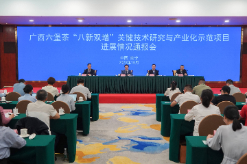 广西六堡茶“八新双增”项目基本实现科技创新八个目标