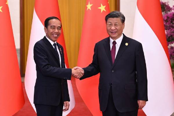 中国国家主席习近平同印度尼西亚总统佐科会谈