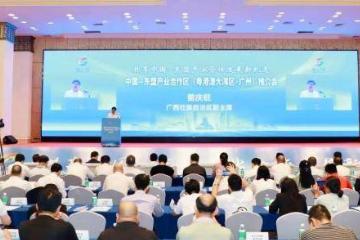 广西深化与粤港澳大湾区企业合作 推动中国—东盟产业合作区建设