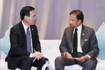 越南国家主席武文赏会见文莱苏丹