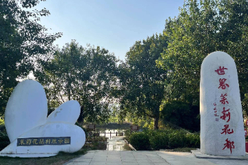 “世界茉莉花都”打造闻香之旅新“花”样