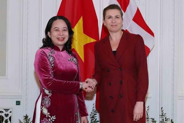 越南国家副主席武氏映春与丹麦首相梅特举行会谈