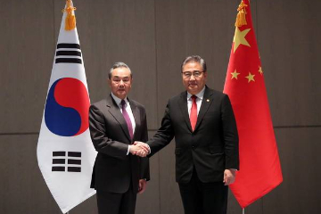 中国外长王毅会见韩国外长朴振