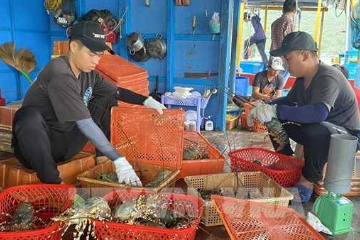 越南虾类产品已销往世界100个国家左右