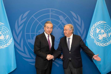 中国外长会见联合国秘书长：“两国方案”是解决巴以问题的根本出路
