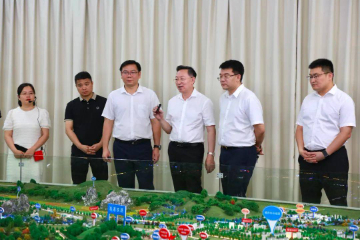 提升城市吸引力 强化茶企竞争力丨李振品到广西苍梧县调研县域经济社会发展情况