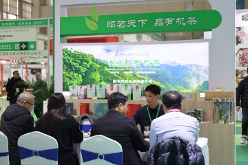 以茶会友，广西昭平有机茶香沁深圳秋季茶博会