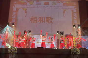 泰国第四届“中领杯” 中国语言文化大赛决赛开幕