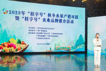 广西：发挥“果盘子”产业优势，力推甜蜜“桂果”销全国