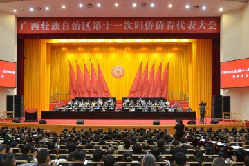 陈洁英当选广西侨联第十一届委员会主席