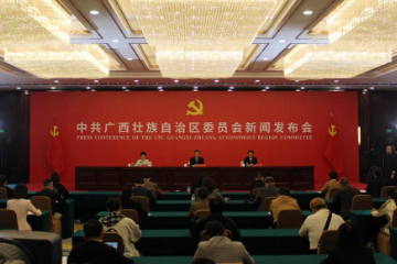 广西壮族自治区大力推进铸牢中华民族共同体意识示范区创建工作