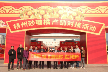 广西梧州开启砂糖橘“盛宴”，助力做大“甜蜜”事业