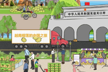 H5丨一颗越南榴莲的中国之旅