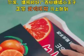 “小砂糖橘”成东北团宠 广西“投桃报李”答谢