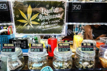泰国拟修法取消休闲大麻用途