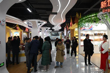 湖南怀化打造东盟经贸合作展示中心