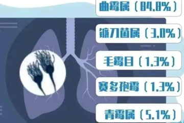 毒性是砒霜数十倍，不要忽视霉菌对身体的危害