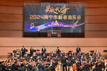 中越歌手壮乡献唱：以声传情促友谊