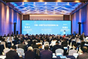中国—东盟产业合作商机吸引长三角企业关注