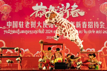 中国驻老挝使馆举办2024年“温暖迎春·共庆中国年”华人华侨新春招待会