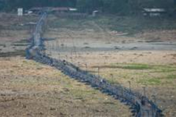 Indonesia becomes largest importer of Thailand's rice
