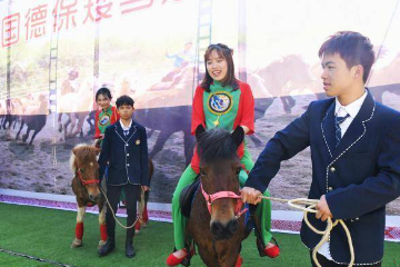 中越两国民众体验广西德保矮马