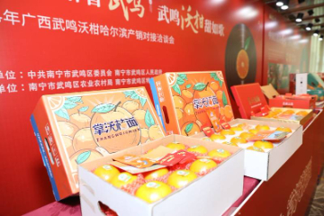 广西武鸣沃柑产销对接洽谈会及 市场与终端推广活动在黑龙江哈尔滨市举行