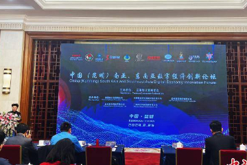 南亚东南亚多国专家学者：冀与云南加强数字经济领域合作